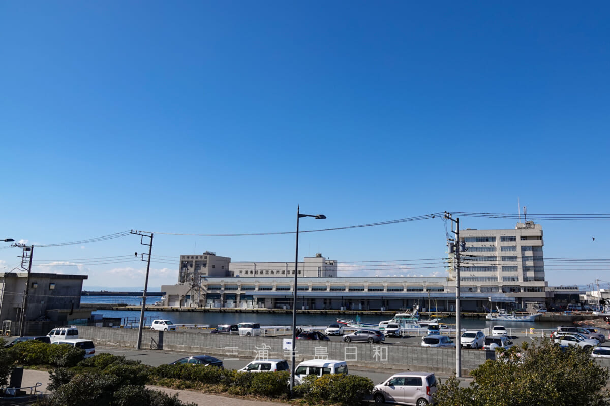 三崎魚市場・うらり駐車場越しに望む（撮影日：2022.01.31）