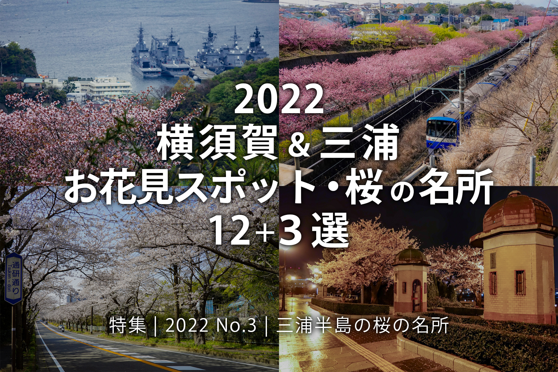【2022 No.3】特集 | 横須賀＆三浦 三浦半島お花見スポット・桜の名所10＋3選