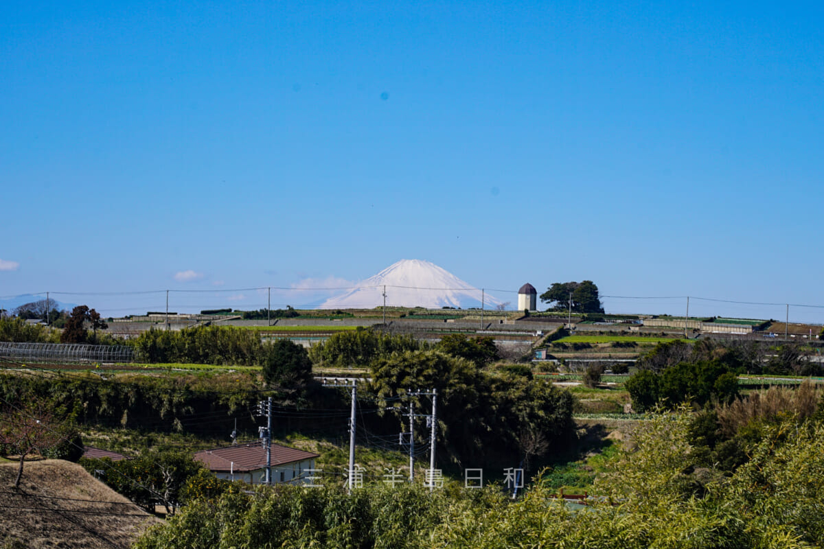 和田城址（和田城跡）近くから見た富士山と「ソレイユの丘」の給水塔の丘（経塚）（撮影日：2022.02.25）