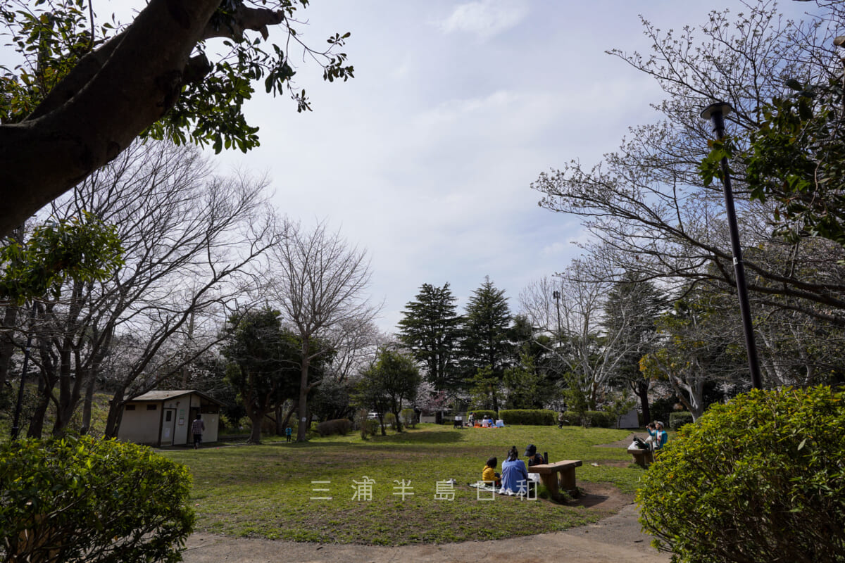 桜山中央公園・上の芝生広場（撮影日：2022.03.28）