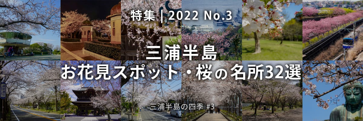 【2022 No.3】特集 | 三浦半島お花見スポット・桜の名所30選
