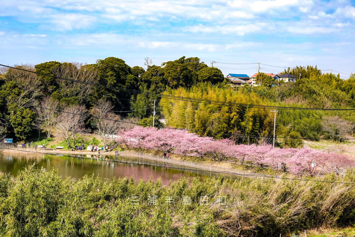小松ヶ池公園（俯瞰）（撮影日：2022.03.04）