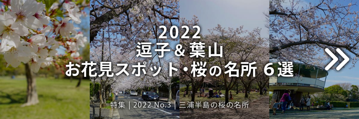 【2022 No.3】特集 | 逗子＆葉山 三浦半島お花見スポット・桜の名所6選
