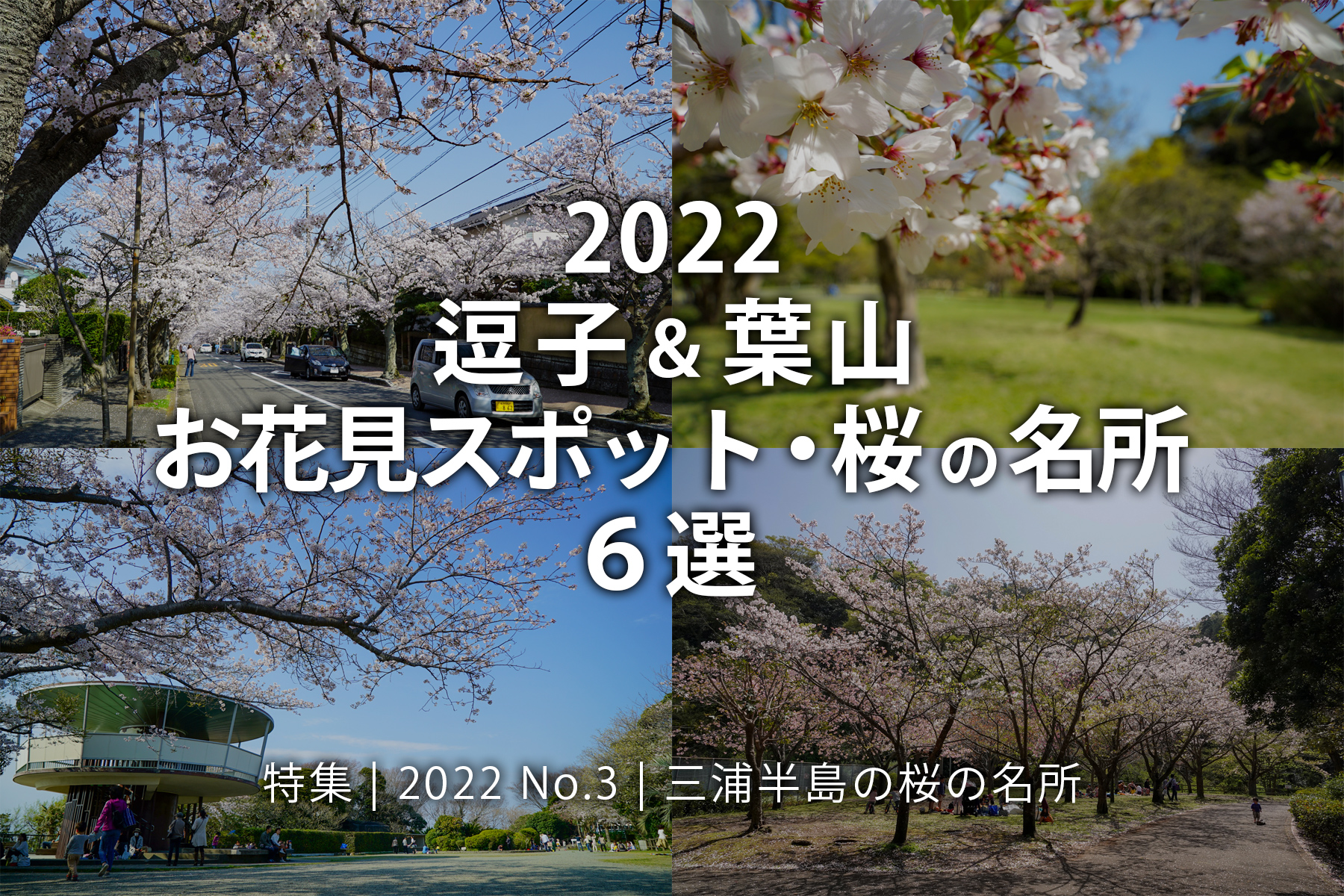 【2022 No.3】特集 | 逗子＆葉山 三浦半島お花見スポット・桜の名所6選