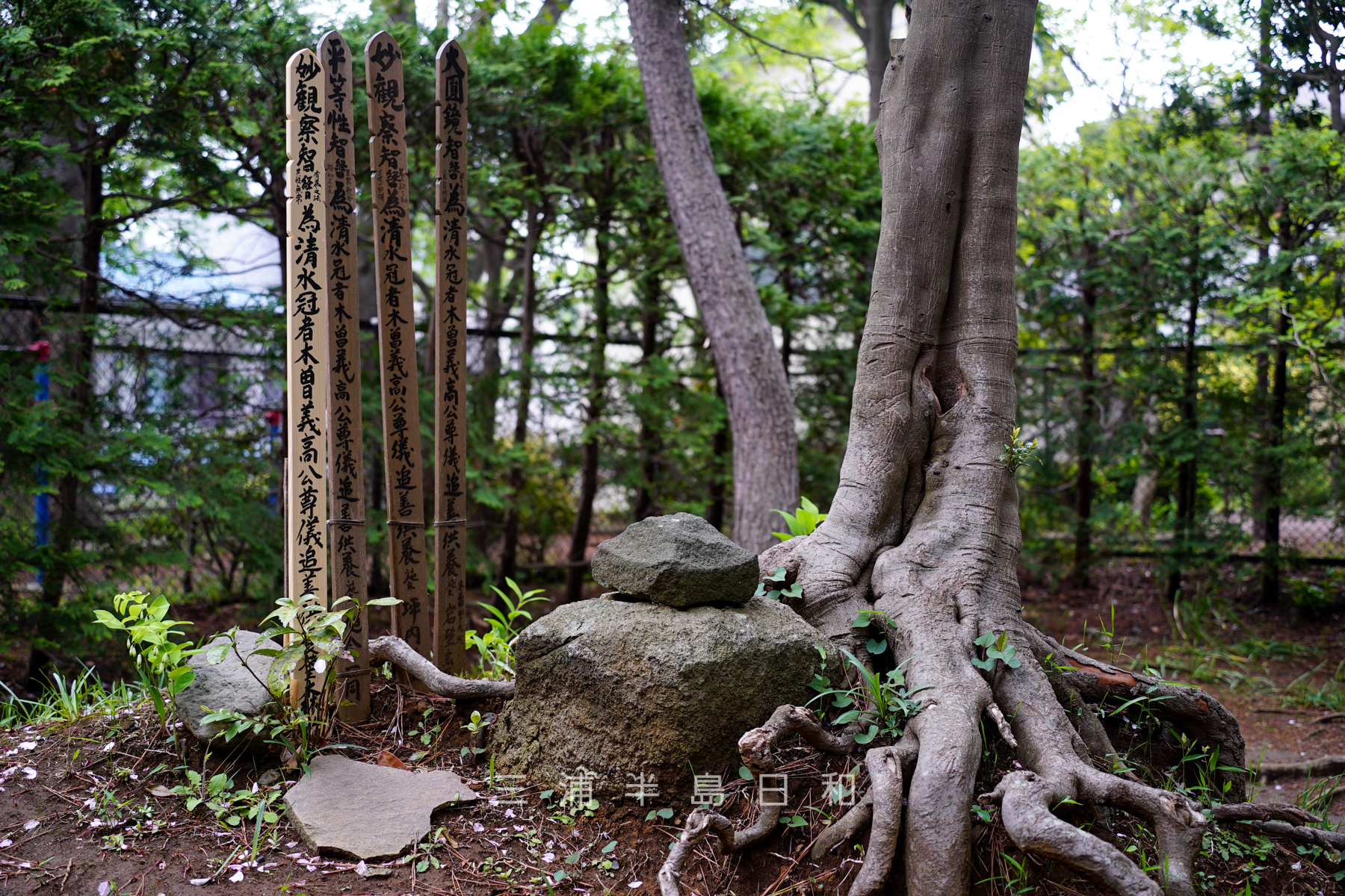 木曽義高首塚・首塚に鎮座する供養塔（撮影日：2022.04.20）
