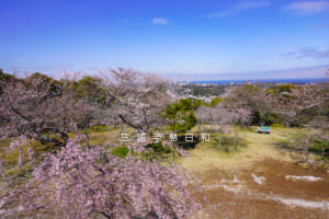 衣笠山公園