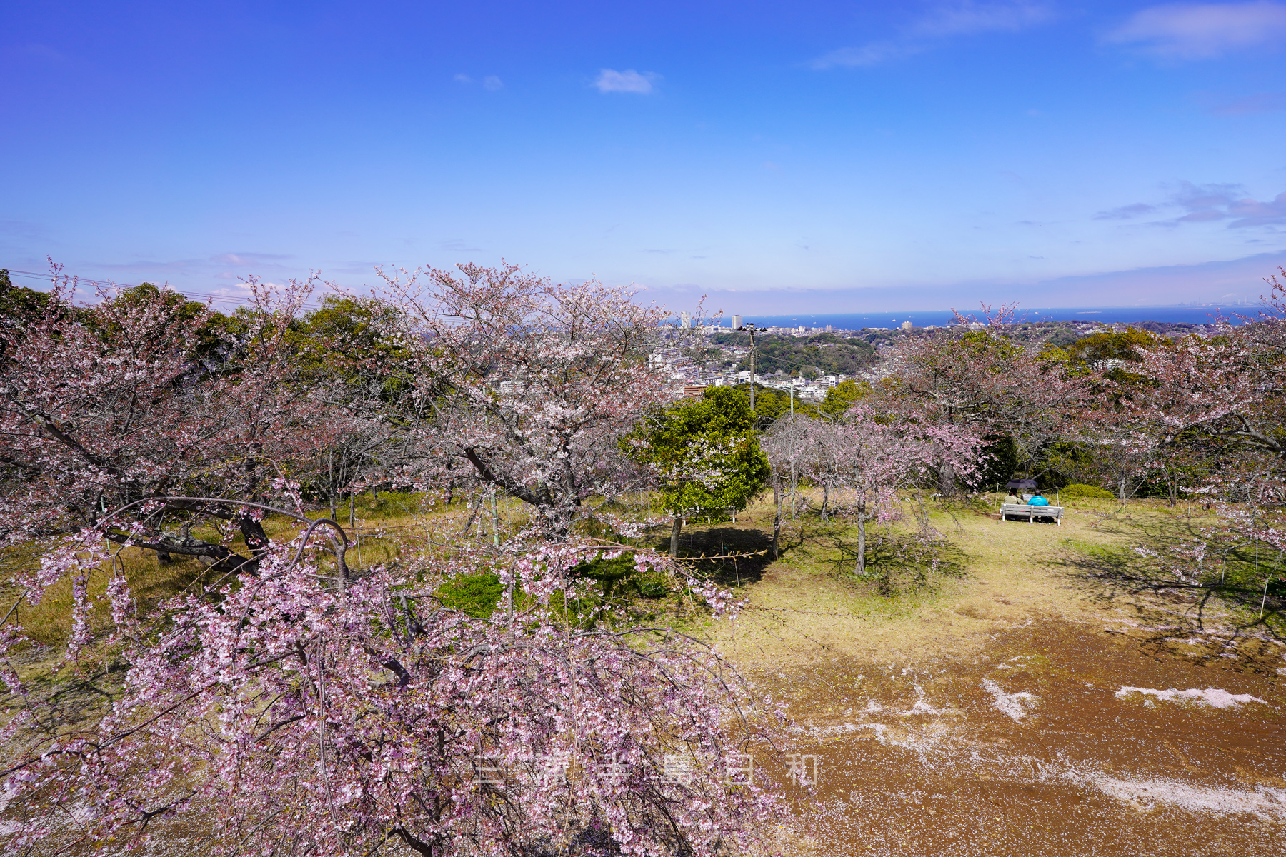 衣笠山公園・上の広場の展望台から東京湾方面を望む（撮影日：2022.04.05）