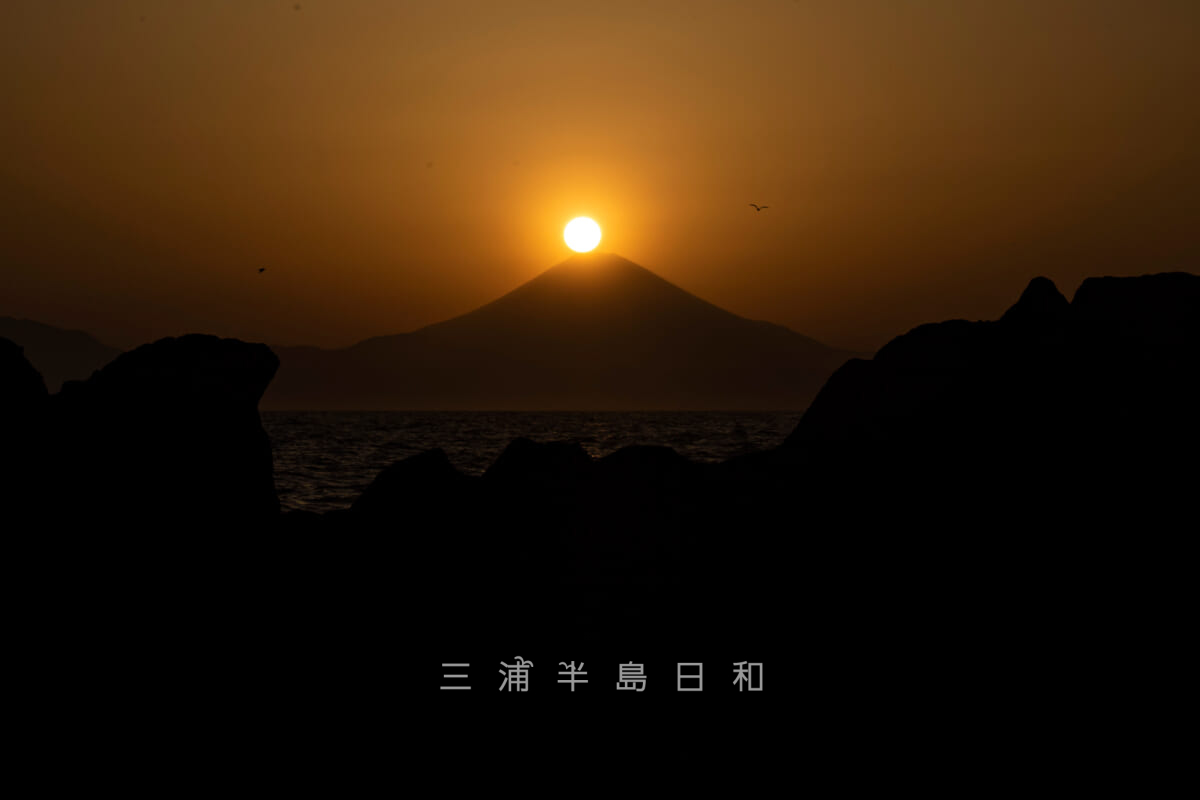 荒崎公園・春のダイヤモンド富士-1（撮影日：2022.04.22）