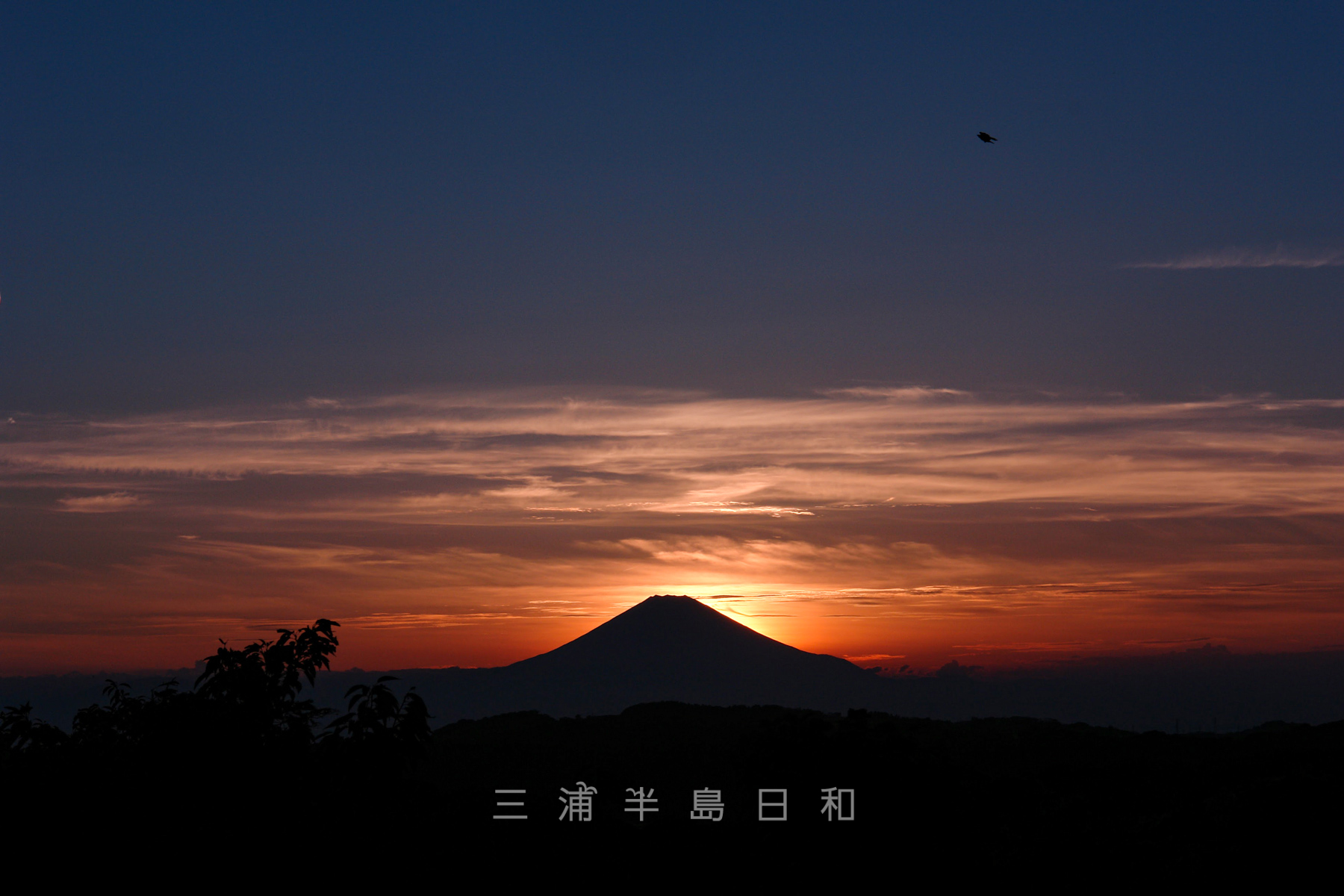 浄明寺緑地・夕暮れの富士山（撮影日：2012.09.10）