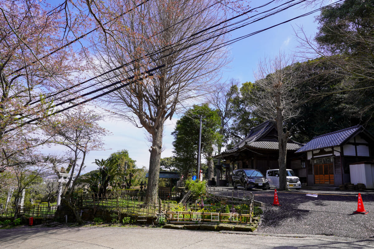 衣笠神社・衣笠山公園駐車場付近から境内を望む（撮影日：2022.04.05）