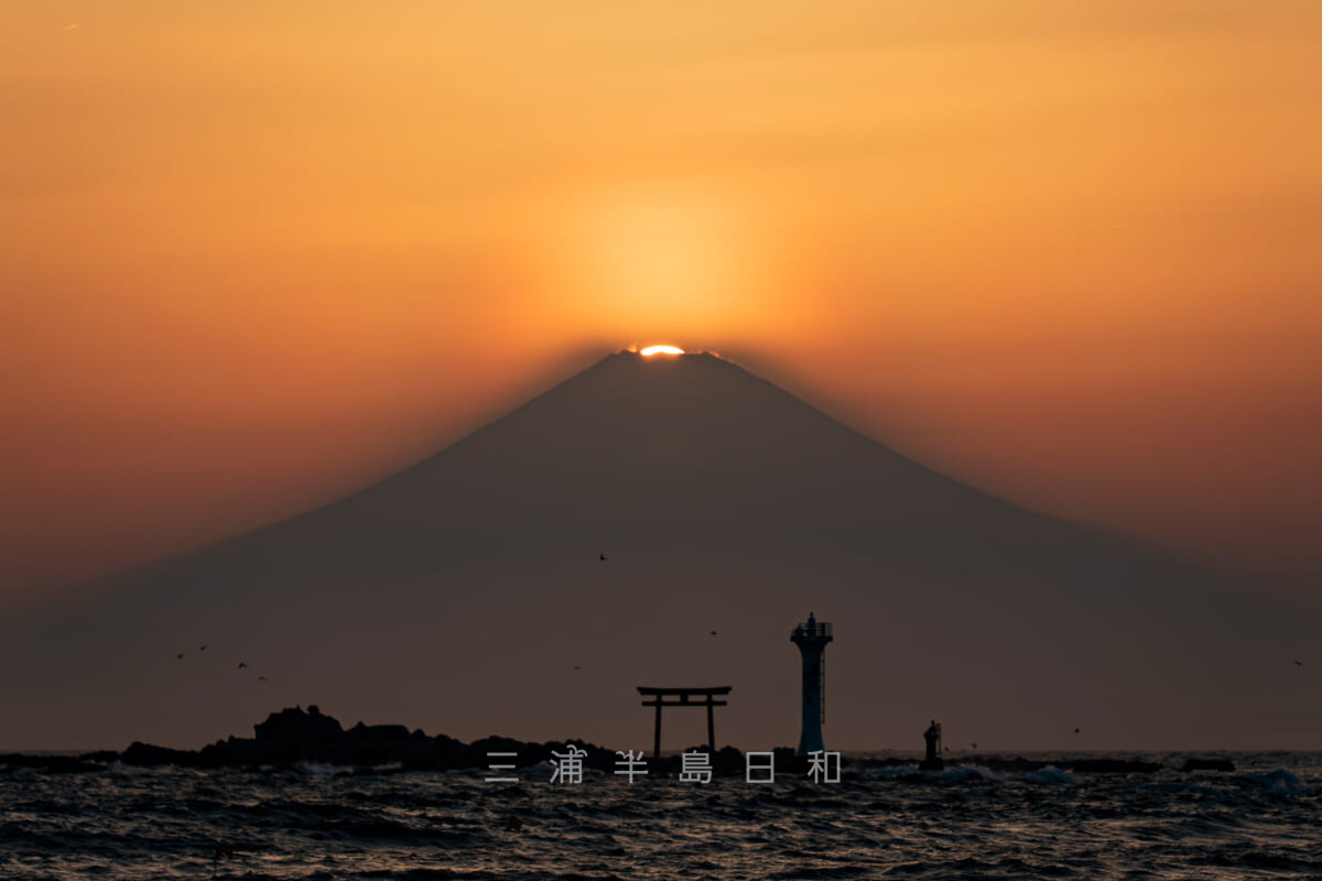 真名瀬海岸・春のダイヤモンド富士-2（撮影日：2022.04.09）
