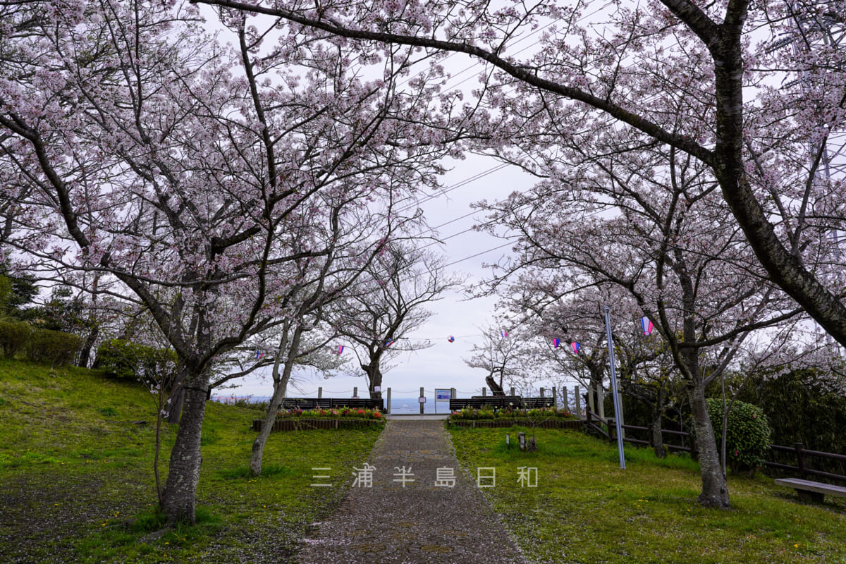 県立塚山公園・港の見える丘展望デッキ（撮影日：2022.04.05）