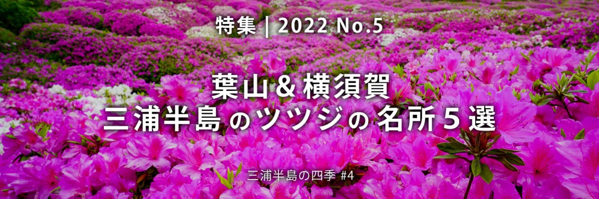 【2022 No.5】特集 | 三浦半島ツツジの名所5選