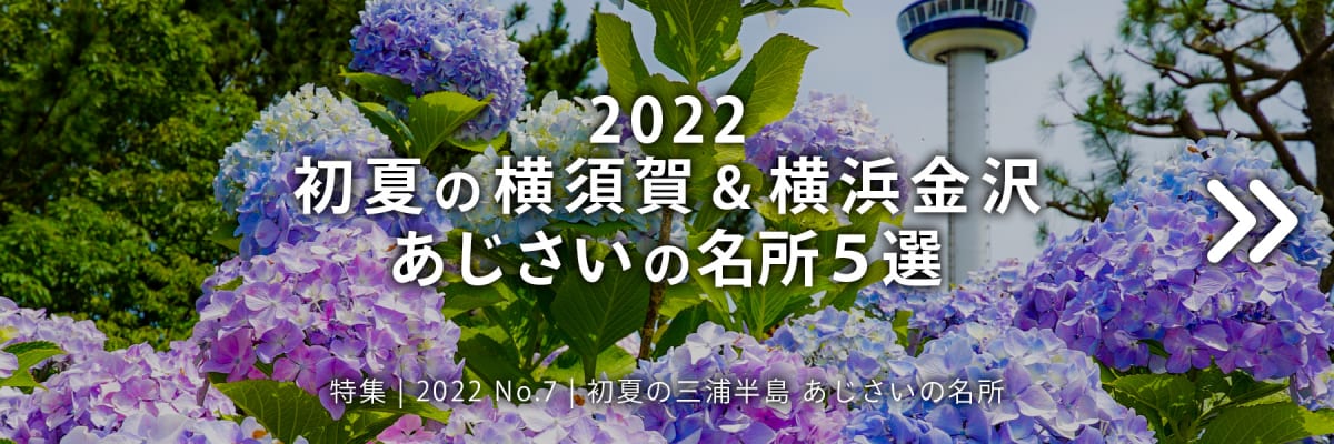 【2022 No.7】特集 | 初夏の横須賀＆横浜金沢 あじさいの名所4選