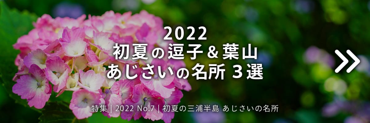【2022 No.7】特集 | 逗子&葉山 あじさいの名所3選