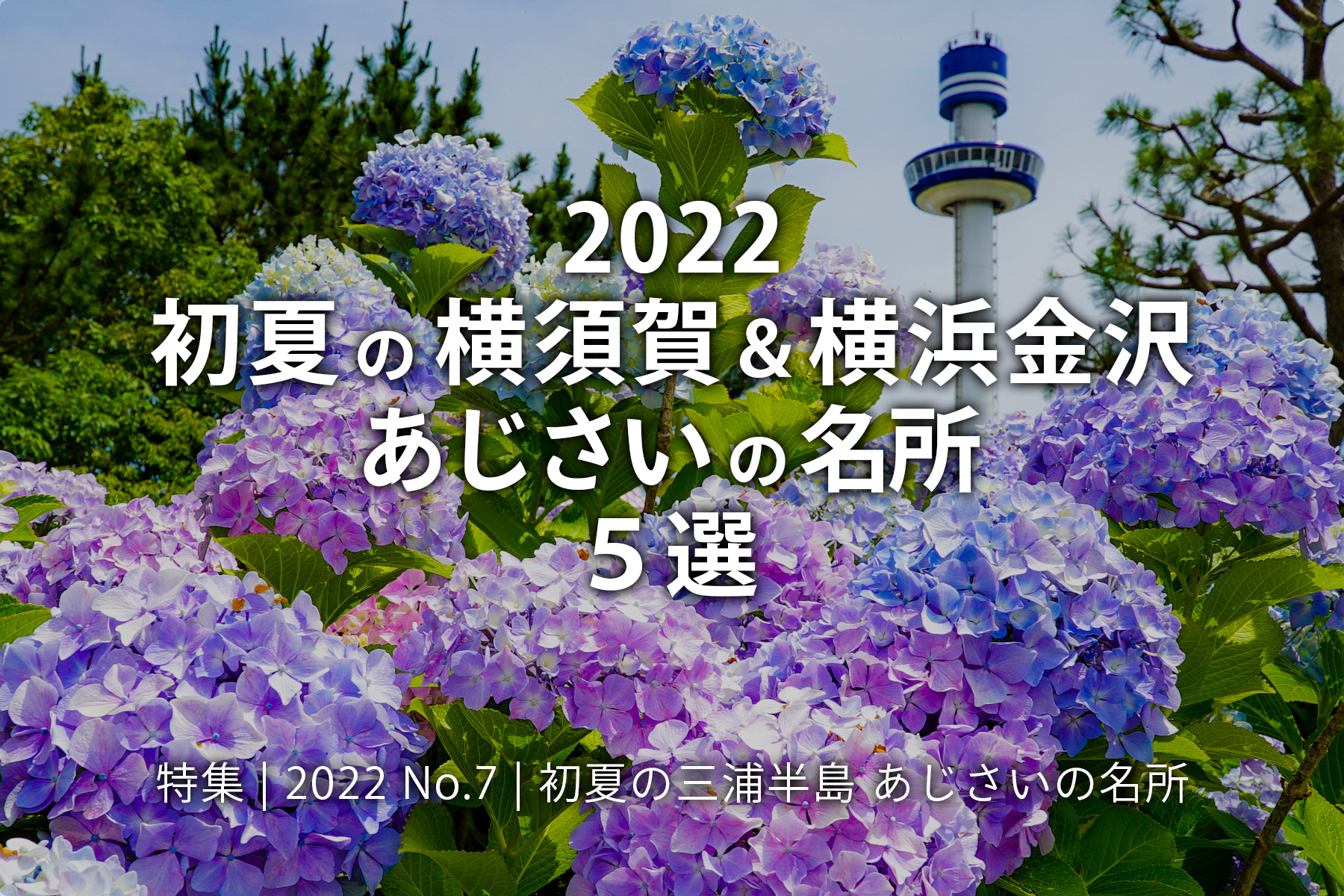 【2022 No.7】特集 | 初夏の横須賀＆横浜金沢 あじさいの名所5選