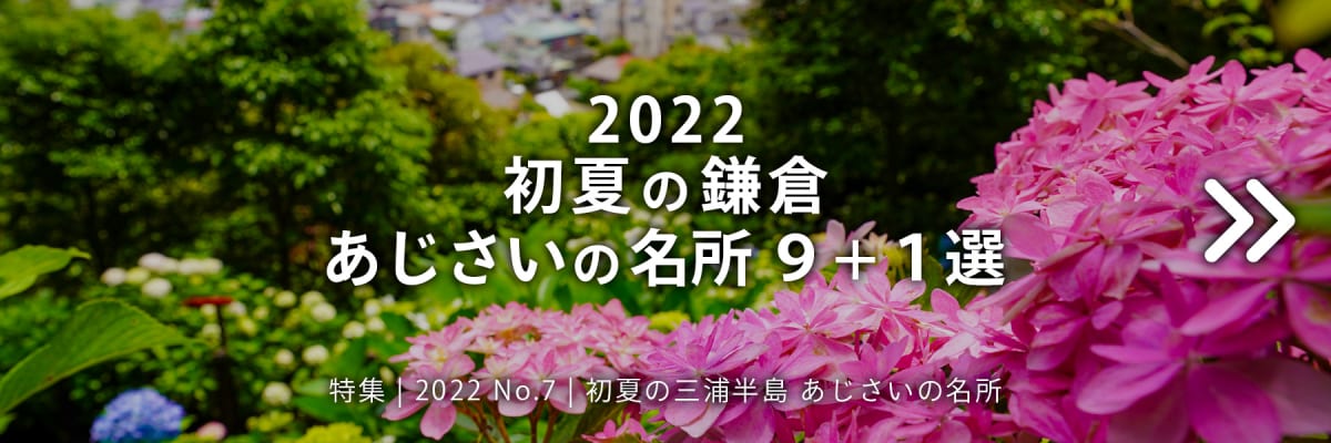 【2022 No.7】特集 | 初夏の鎌倉 あじさいの名所7+1選