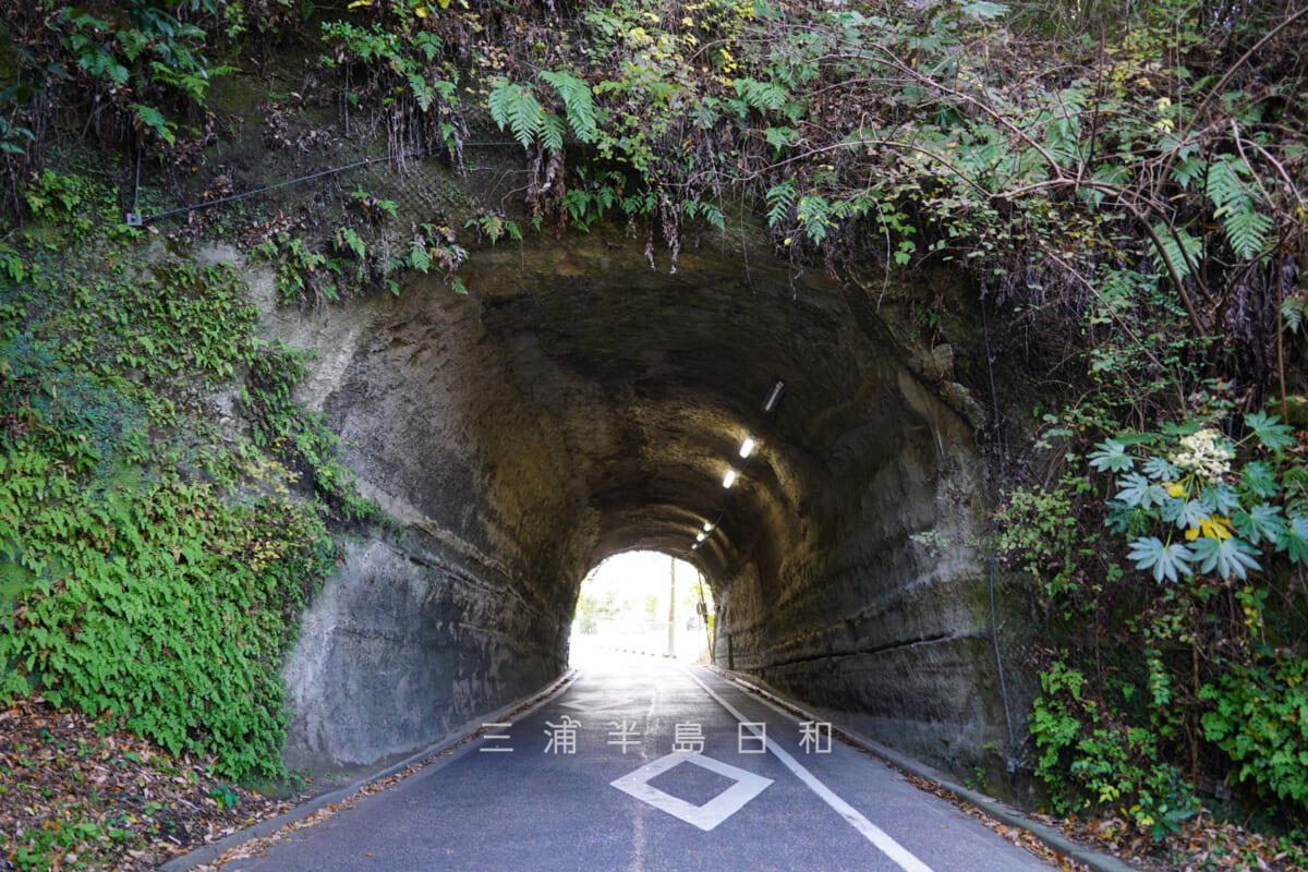 大船の切通し下の素掘りのトンネル（撮影日：2021.12.10）