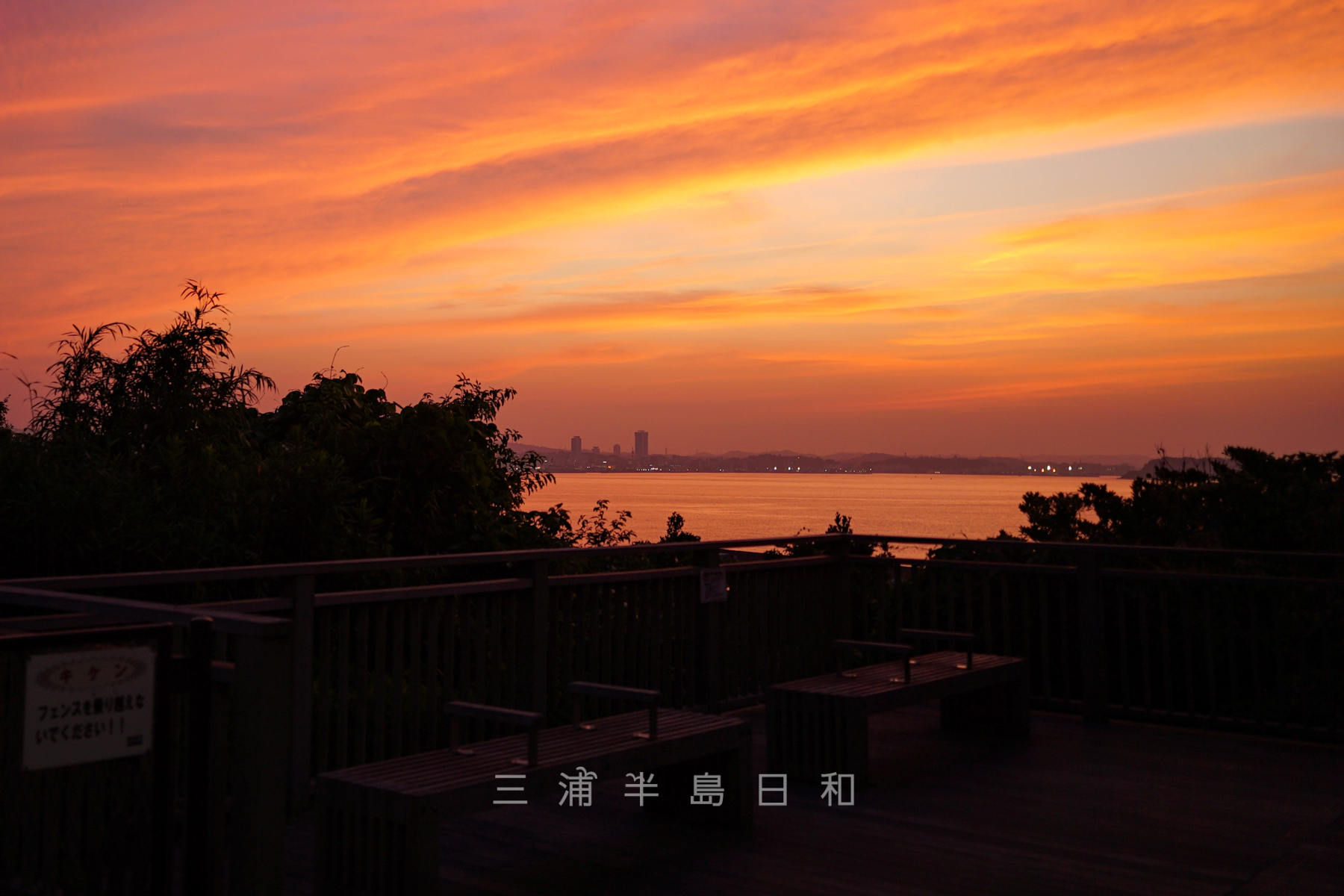 破崎緑地の初夏の夕焼け（撮影日：2022.06.17）