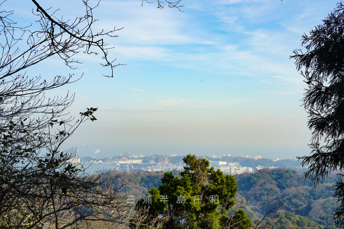 畠山・山頂より横須賀港方面を望む（撮影日：2021.12.16）