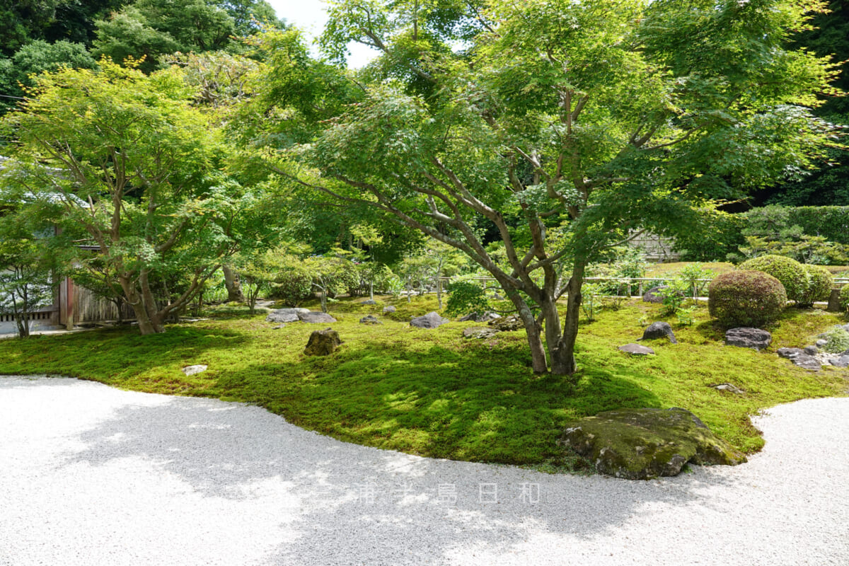 長寿寺・初夏の枯山水庭園（撮影日：2022.06.10）
