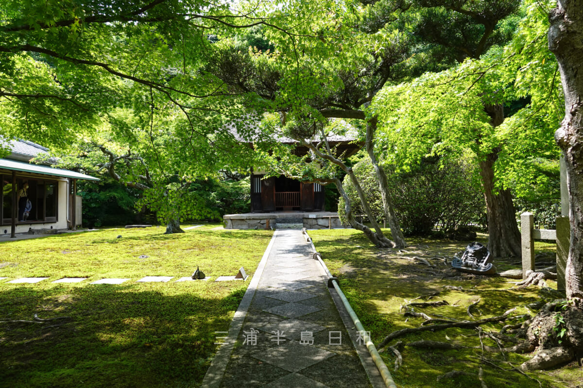 長寿寺・初夏の観音堂と参道（撮影日：2022.06.10）