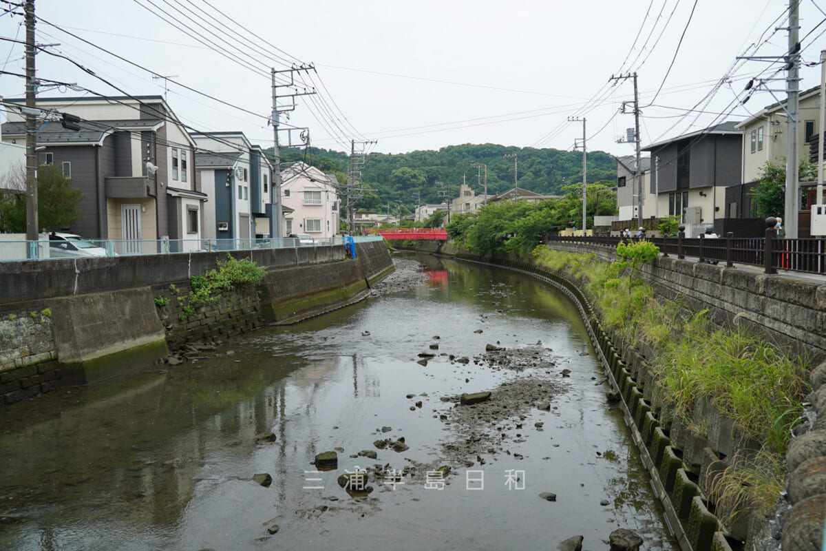 田越川・三浦胤義遺孤碑前から仲町橋方面を望む（撮影日：2022.06.17）