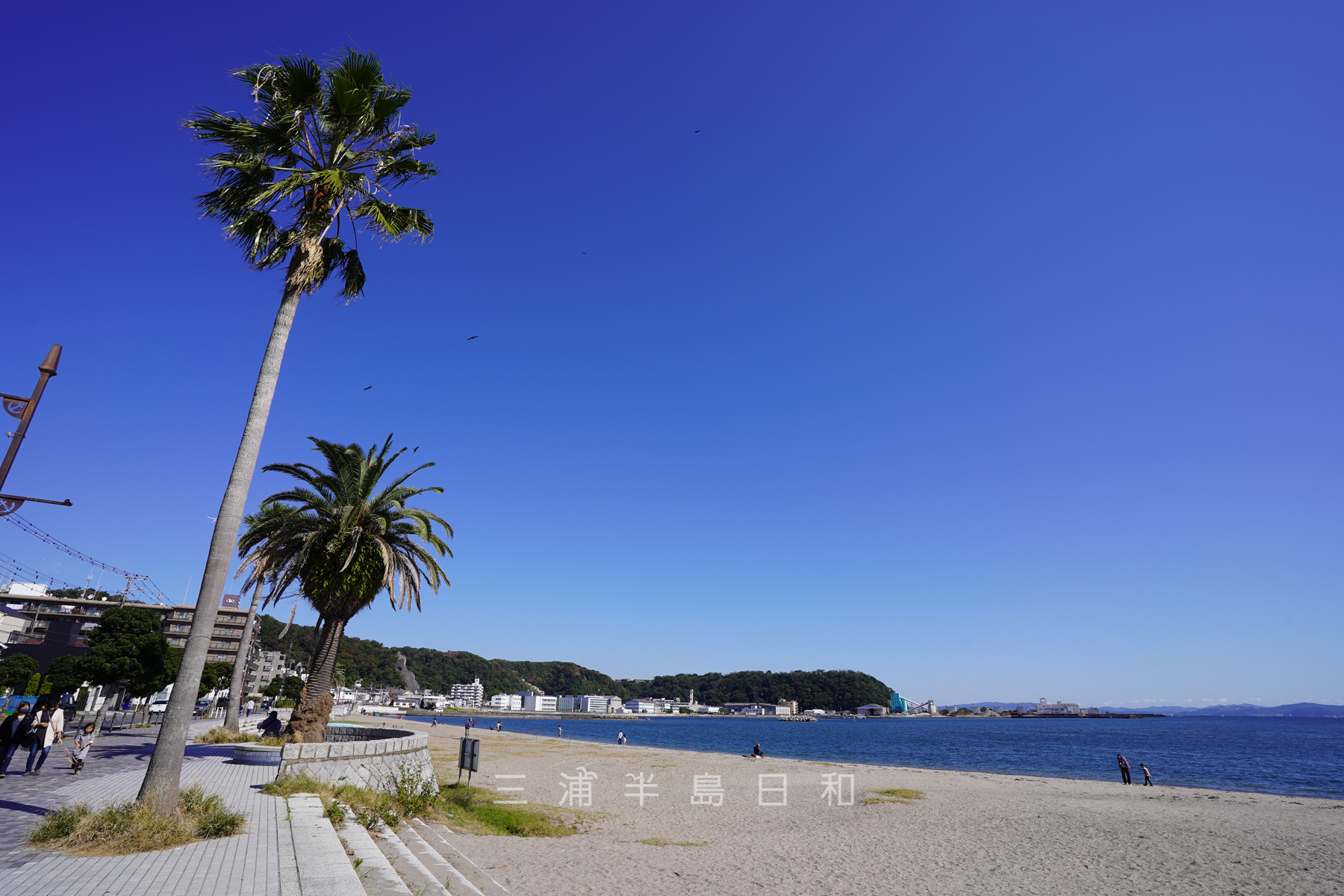 久里浜海岸（撮影日：2021.10.24）