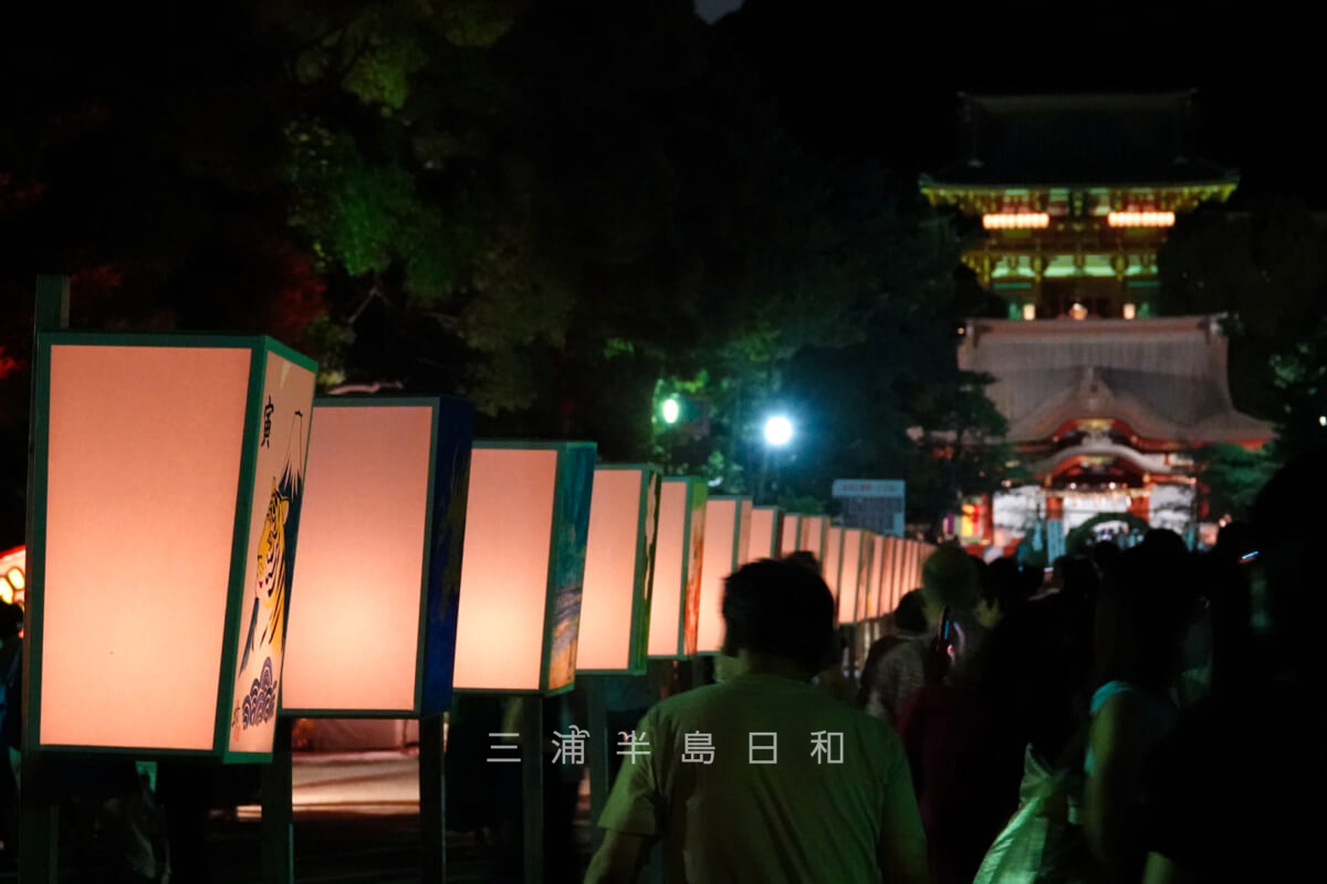 鶴岡八幡宮・参道に立ち並ぶぼんぼり祭のぼんぼり-1（撮影日：2022.08.06）
