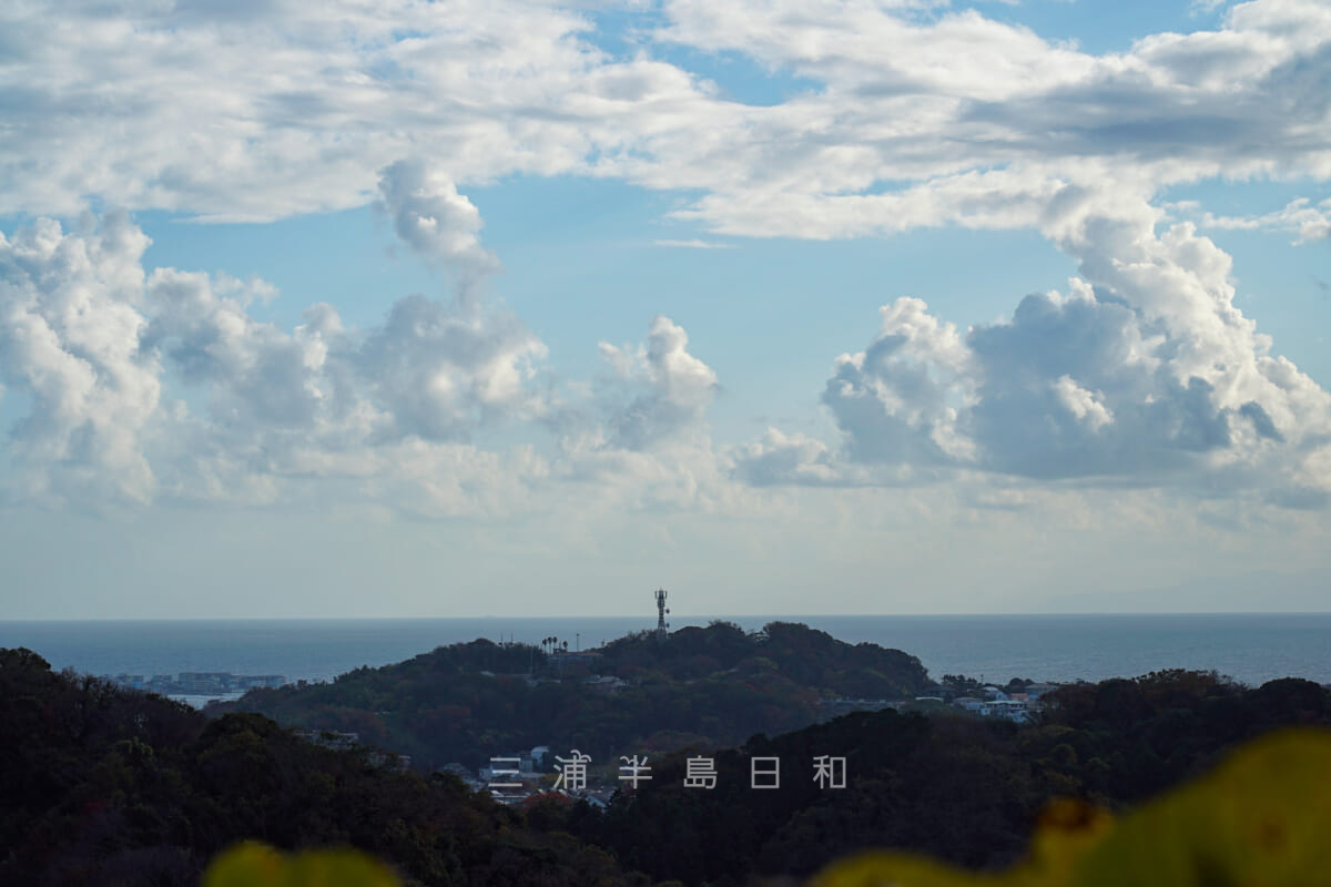 衣張山・山頂（南峰）からの披露山方面の眺望（撮影日：2020.11.19）
