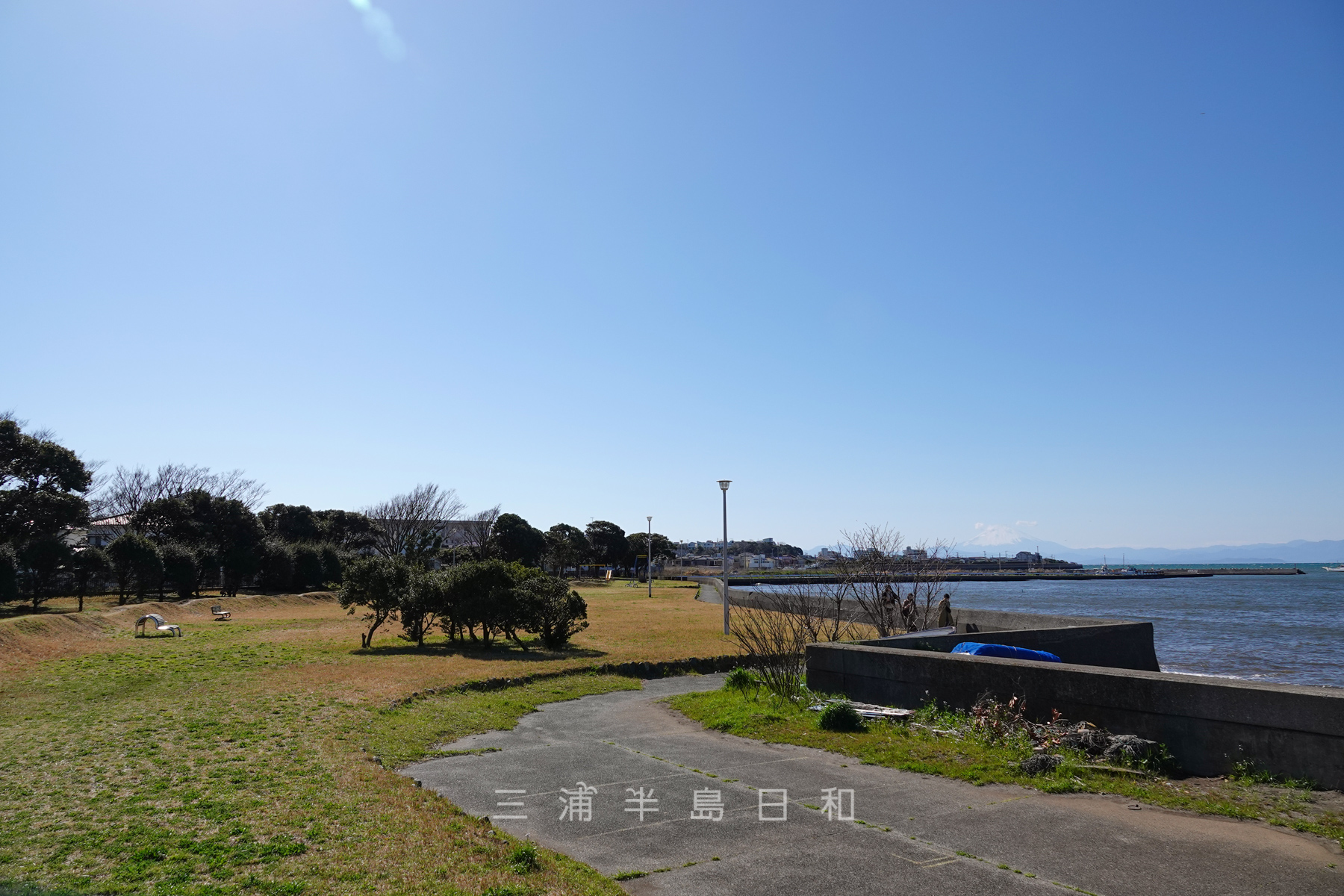 富浦公園・全景（撮影日：2020.03.20）
