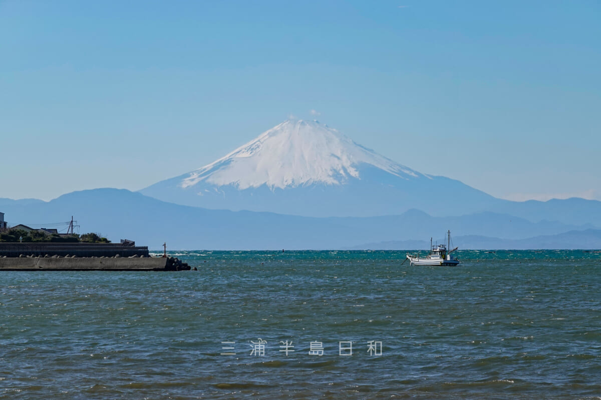 富浦公園から望む春の富士山（撮影日：2020.03.20）