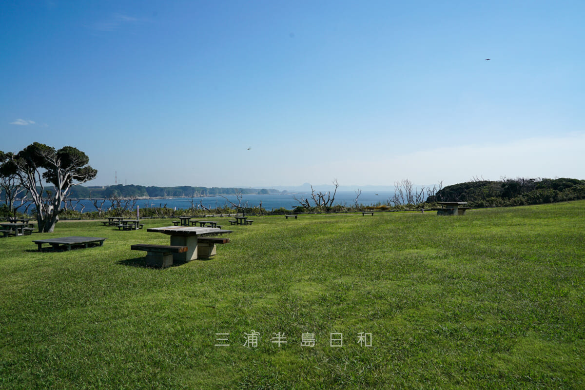 県立城ヶ島公園・うみのね広場（撮影日：2022.09.27）