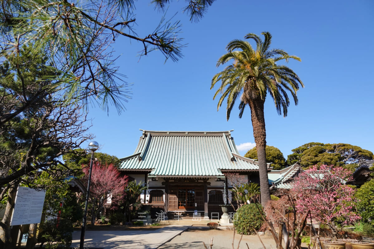 本端寺（桜の御所跡）（撮影日：2022.01.31）