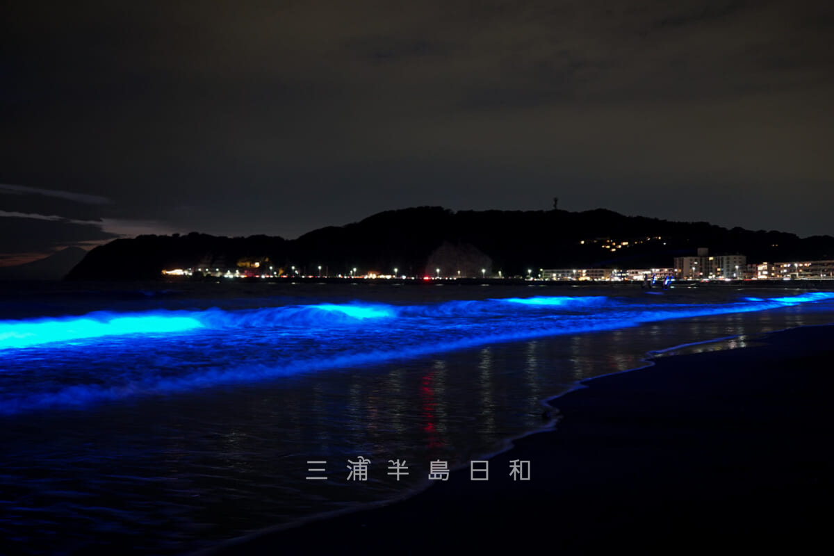 逗子海岸NIGHTWAVE光の波プロジェクト（撮影日：2022.10.22）