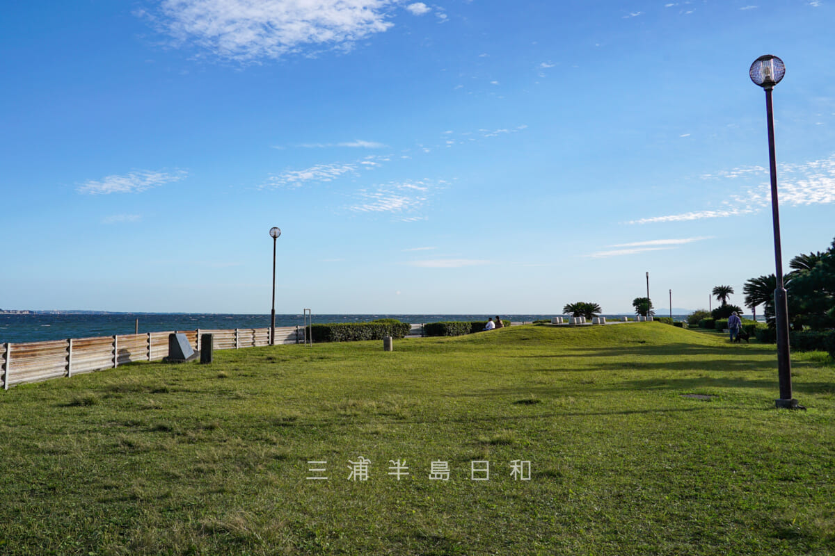 鎌倉海浜公園坂ノ下地区（三角地）・芝生広場（撮影日：2022.10.21）