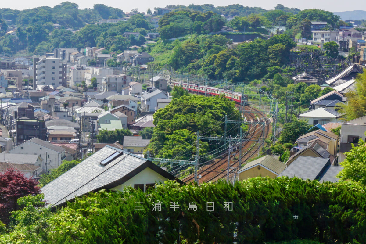 横須賀市自然・人文博物館・ラウンジより県立大学駅方面を望む（撮影日：2022.05.19）