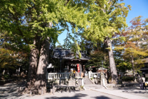 亀岡八幡宮