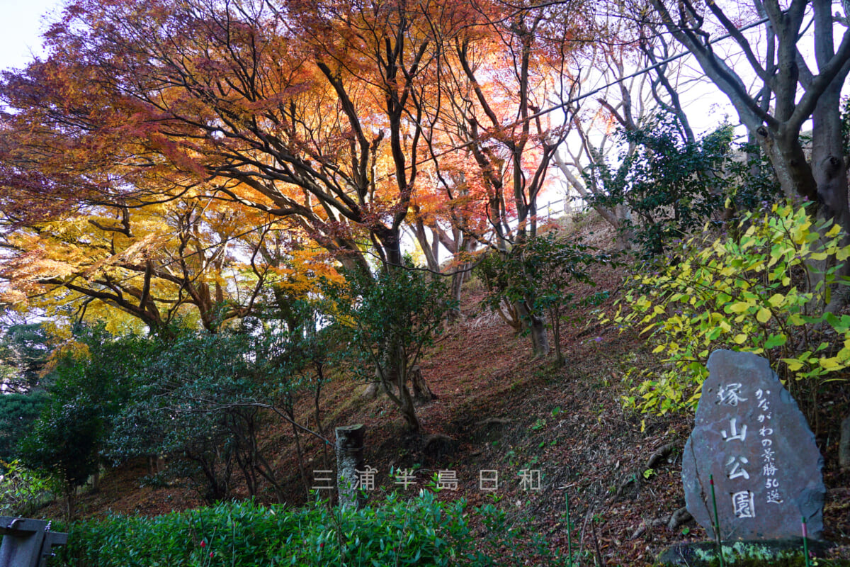 県立塚山公園・見晴台付近の紅葉（撮影日：2021.12.16）