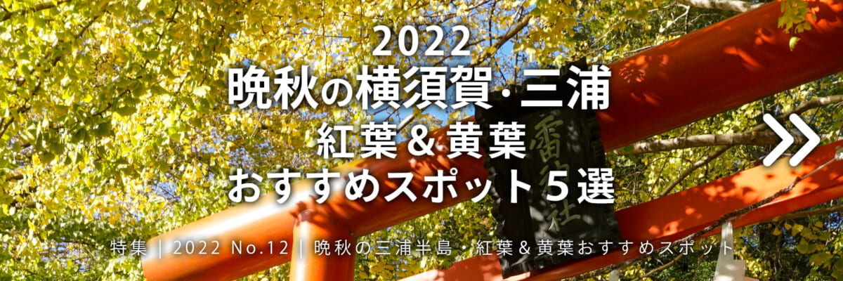 【2022 No.12】特集 | 晩秋の横須賀 紅葉＆黄葉おすすめスポット4選