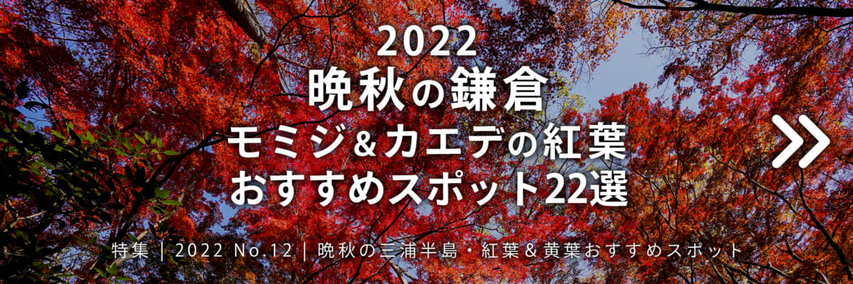 【2022 No.12】特集 | 晩秋の鎌倉・モミジ＆カエデの紅葉おすすめスポット20選
