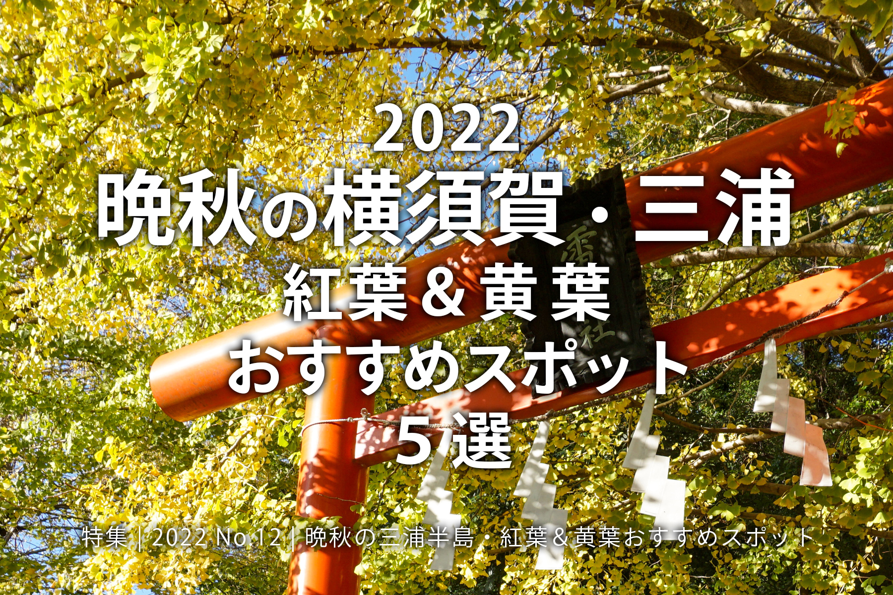 【2022 No.12】特集 | 晩秋の横須賀・三浦 紅葉＆黄葉おすすめスポット5選