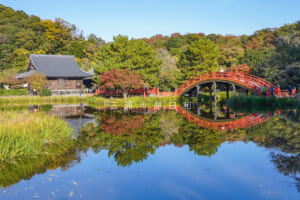 称名寺（撮影日：2022.11.25）
