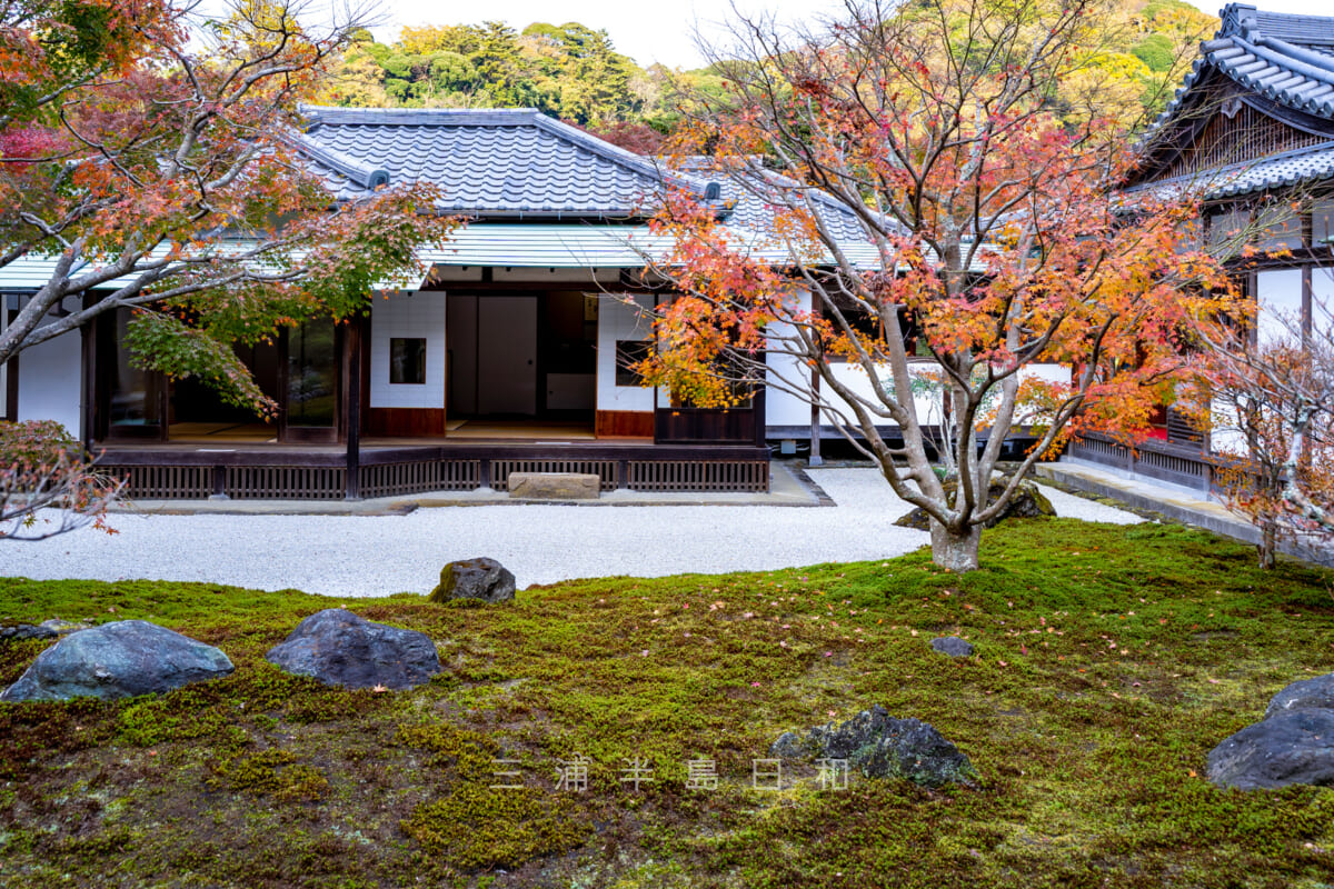 長寿寺・裏側の散策路から望む枯山水庭園の紅葉（撮影日：2022.12.07）