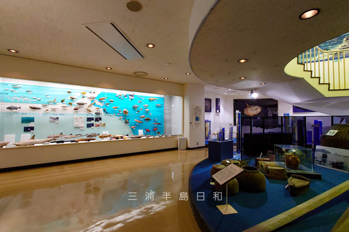 葉山しおさい博物館・葉山周辺の海洋生物や相模湾で使用されていた漁具の展示（撮影日：2022.12.02）