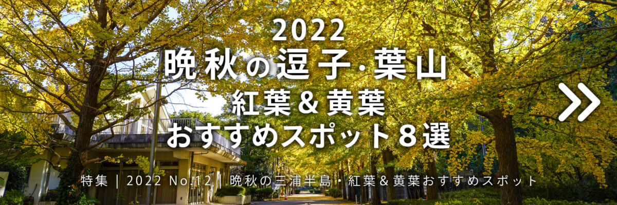 【2022 No.12】特集 | 晩秋の逗子・葉山 紅葉＆黄葉おすすめスポット8選