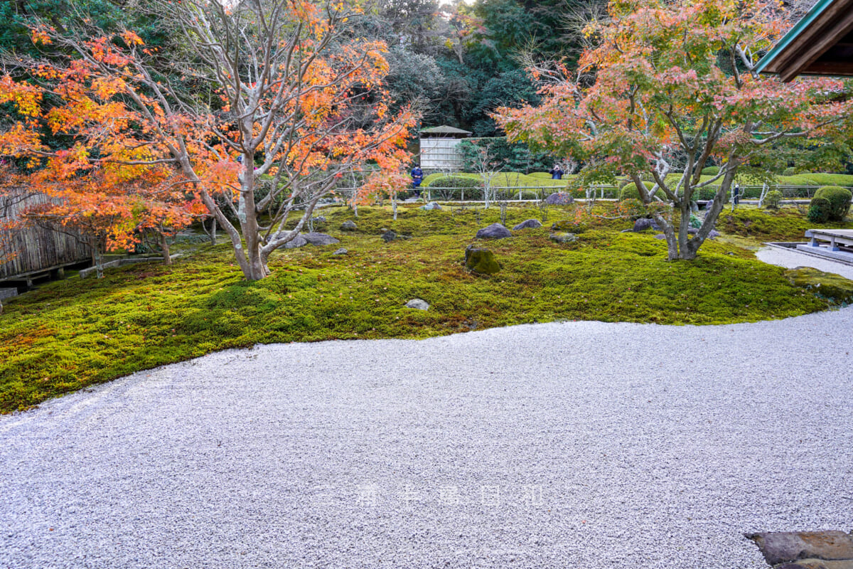 長寿寺・書院から望む枯山水庭園の紅葉（撮影日：2022.12.07）
