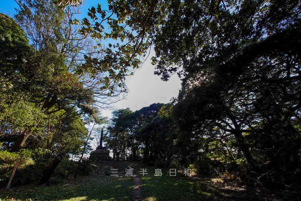 浦賀城跡（浦賀城址）| 叶神社の社叢林として残る後北条氏の出城跡