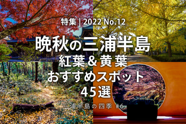 【2022 No.12】特集 | 晩秋の三浦半島 紅葉＆黄葉おすすめスポット
