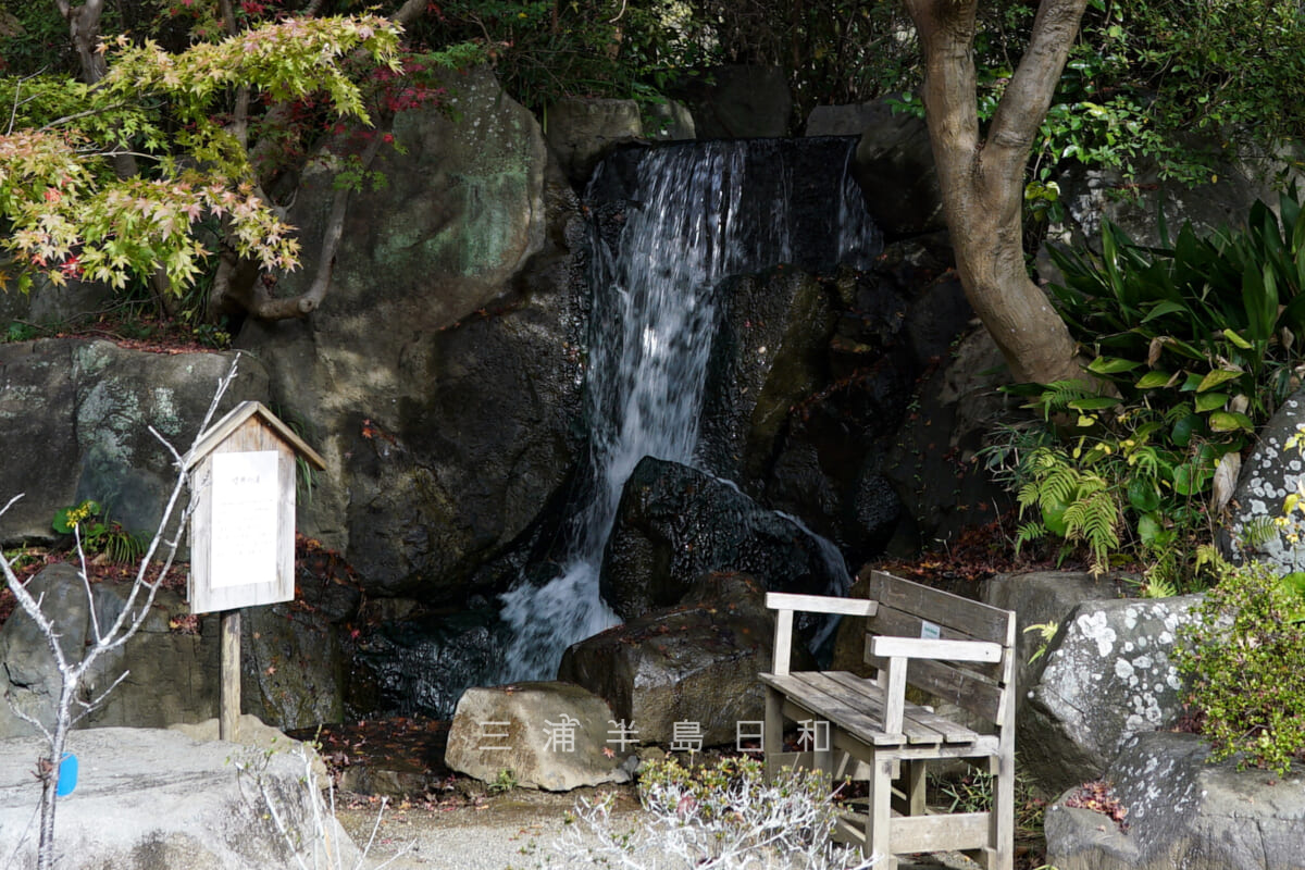 葉山しおさい公園・噴井の滝（撮影日：2022.12.02）